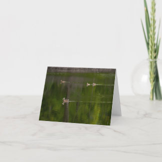 Ducks in a Green Lake Thank You Card