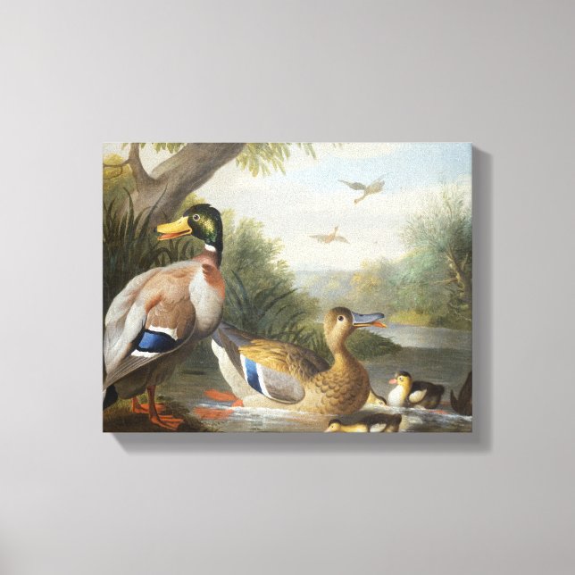 Ducks in a River Landscape Canvas Print (Front)
