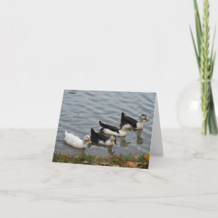 Ducks in a Row note card