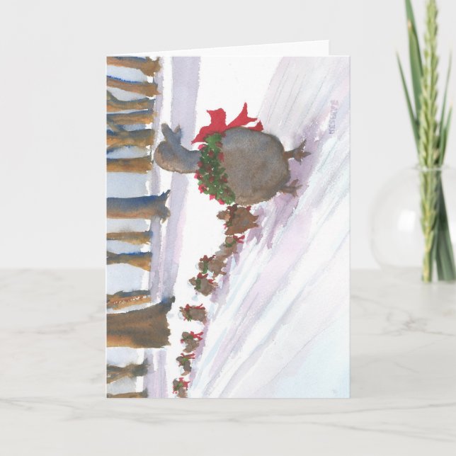 ducks in boston common during the winter holidays holiday card (Front)