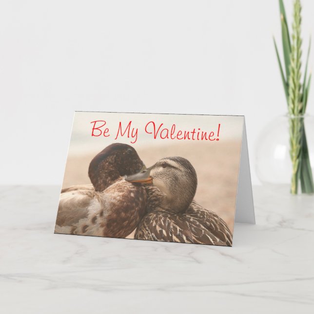 Ducks in Love Funny Valentines Card (Front)