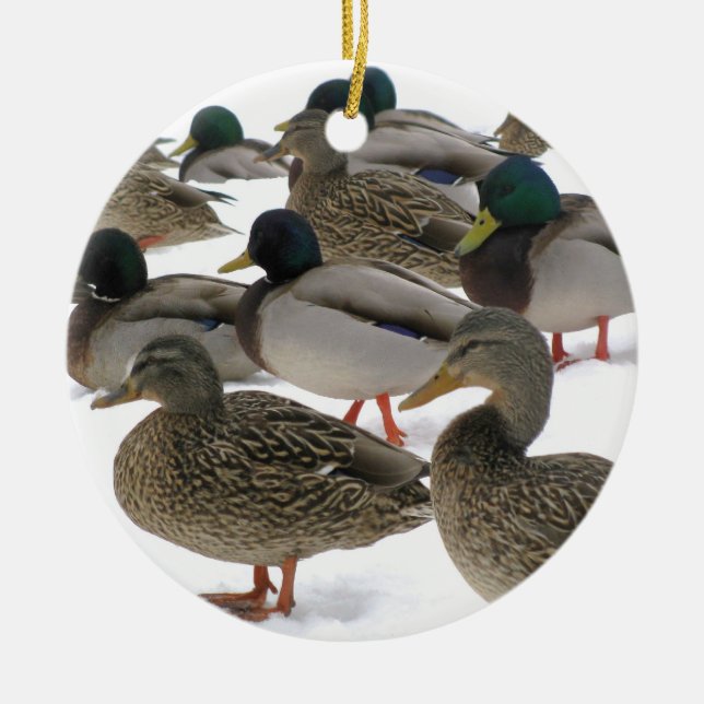 Ducks in Snow Ornament (Front)