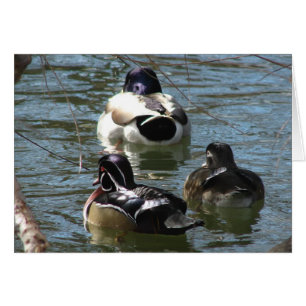 Ducks  in the Park  all occasions greeting card