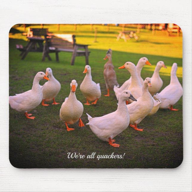 Ducks in the Park Funny We're all Quackers Mouse Pad (Front)