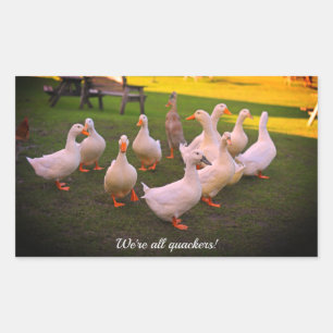 Ducks in the Park Funny We're all Quackers Rectangular Sticker