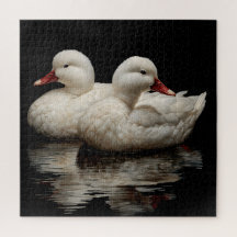 Ducks