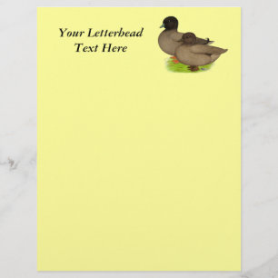 Ducks:  Khaki Calls