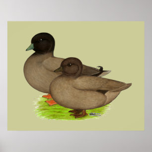 Ducks: Khaki Calls Poster