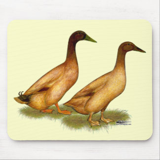 Ducks: Khaki Campbell Mouse Pad
