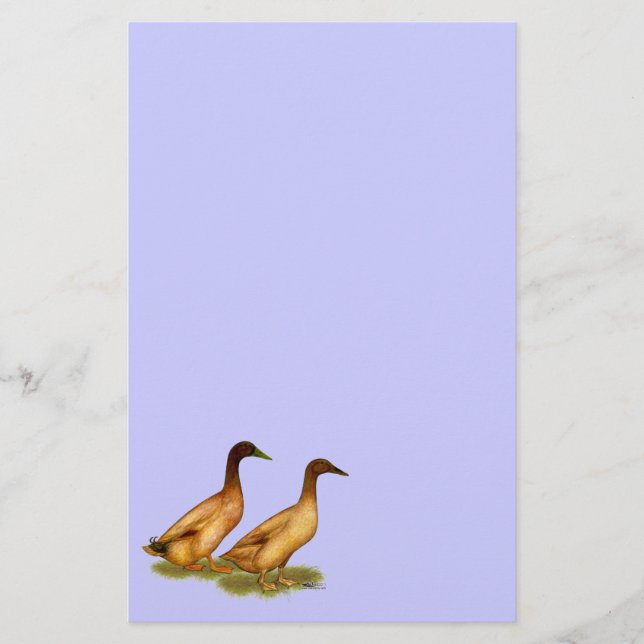 Ducks:  Khaki Campbell Stationery (Front)