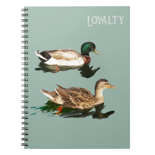 Ducks loyalty notebook (Front)
