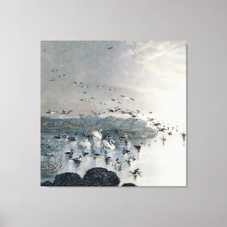 Ducks, Mallards and Swans on the lake at sunset Canvas Print
