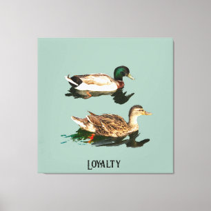 Ducks mallards canvas print