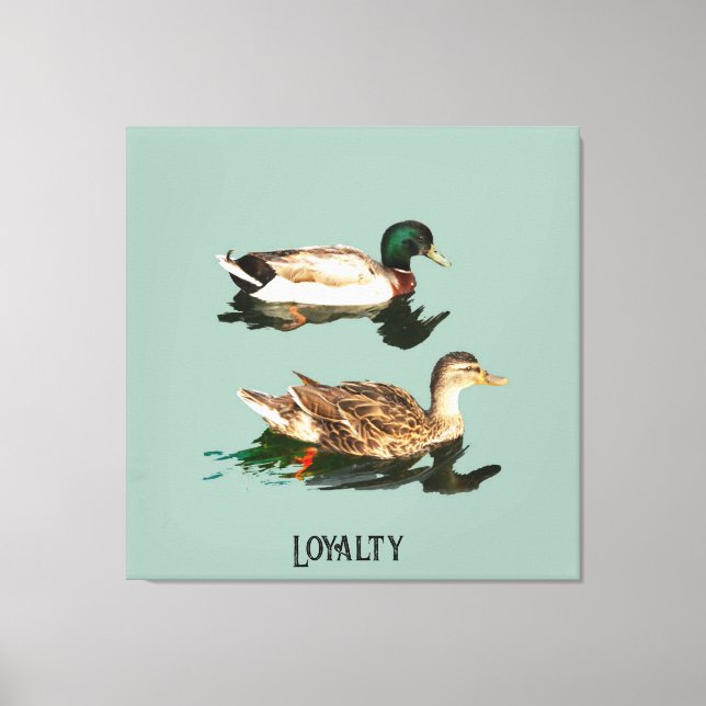 Ducks mallards canvas print (Front)