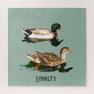 Ducks mallards jigsaw puzzle