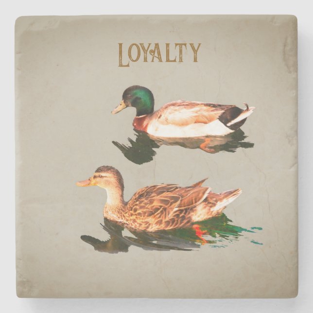 Ducks mallards. Loyalty Stone Coaster (Front)