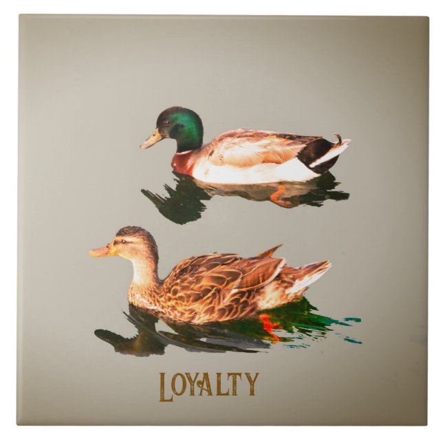 Ducks mallards. Loyalty Tile (Front)
