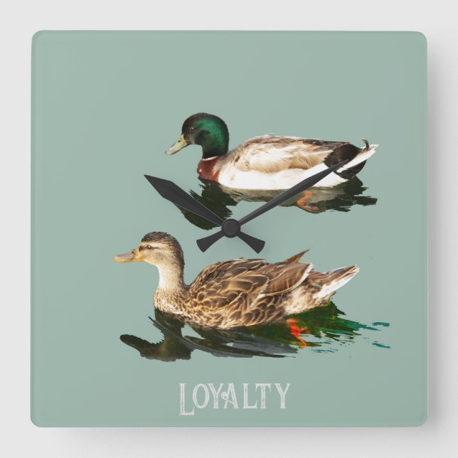 Ducks mallards square wall clock (Front)