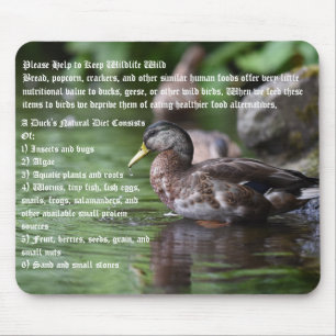 Ducks  mouse pad