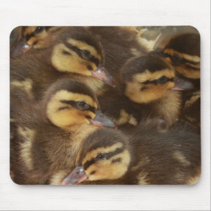 Ducks!! Mouse Pad