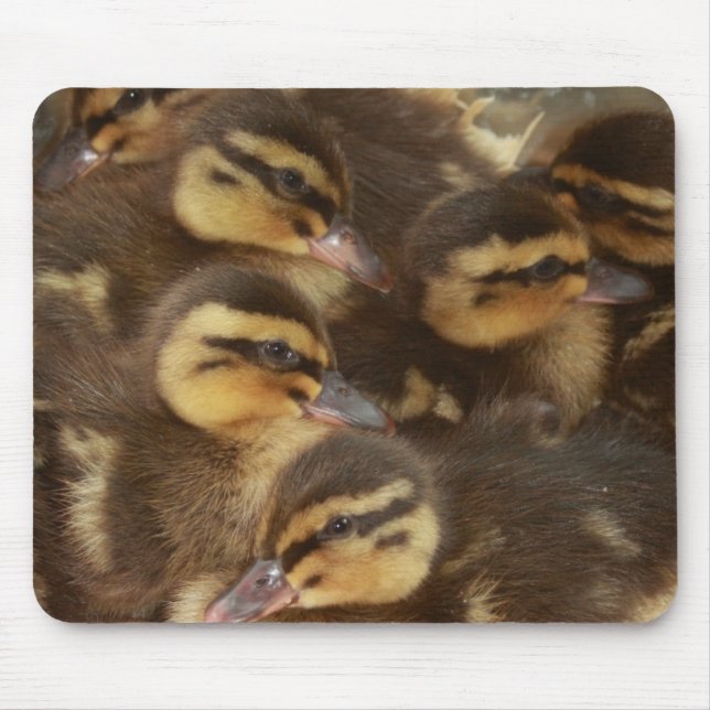 Ducks!! Mouse Pad (Front)