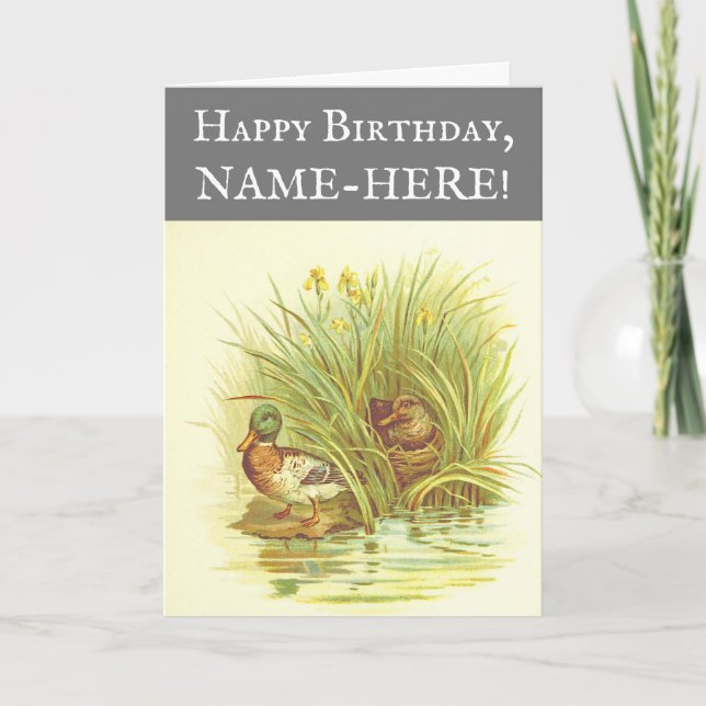 Ducks Near Water Birthday Greeting Card (Front)
