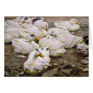 Ducks on a pond