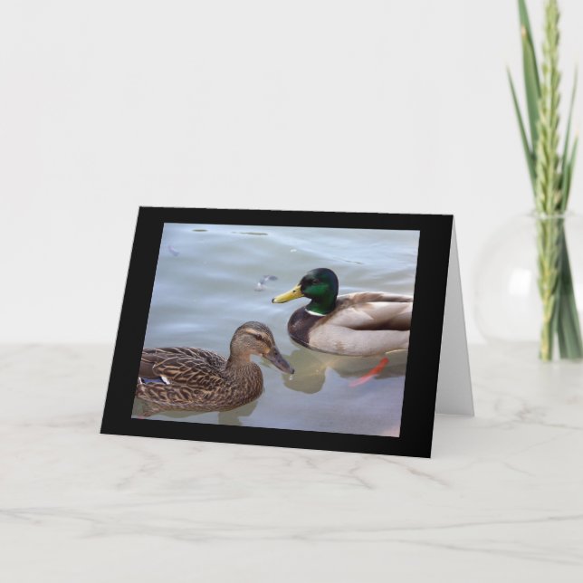 Ducks on a Pond Card (Front)