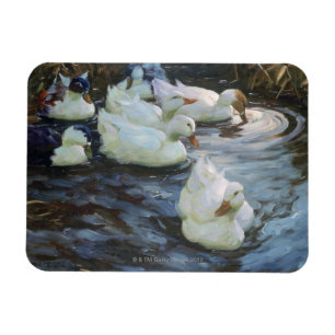 Ducks on a Pond Magnet