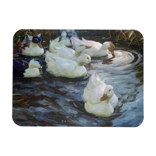 Ducks on a Pond Magnet (Horizontal)