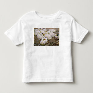 Ducks on a pond toddler T-Shirt