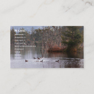 Ducks On Empire Lake Business Card