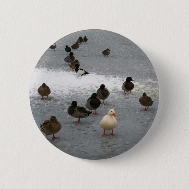 Ducks on Ice 6 Cm Round Badge (Front)