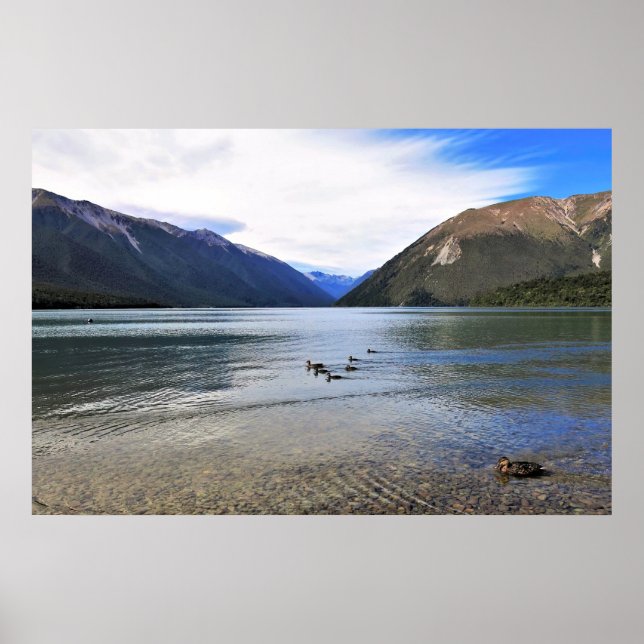 Ducks on Lake Rotoiti Poster (Front)