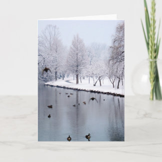 Ducks on the Creek Card