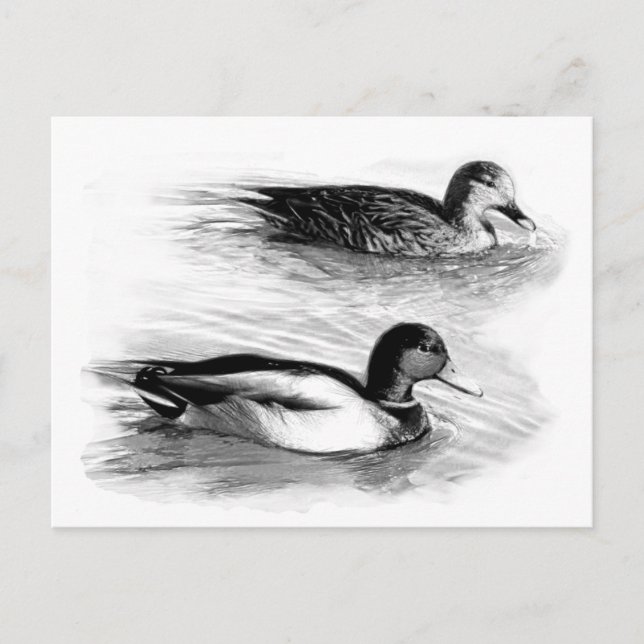 Ducks on the Lake Postcard (Front)