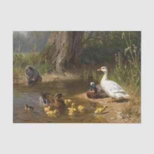Ducks on the Water by Carl Jutz Tissue Paper