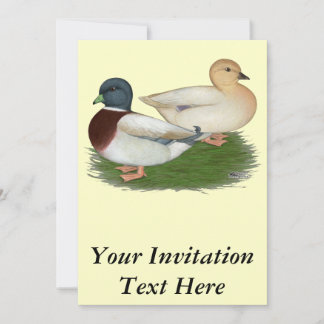 Ducks: Pastel Calls Invitation