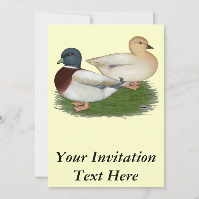 Ducks:  Pastel Calls Invitation (Front)