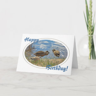 Ducks & Pigeon Birthday Card