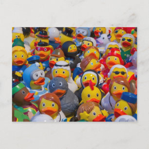 Ducks Postcard