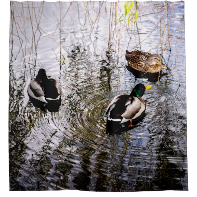 Ducks Shower Curtain (Front)