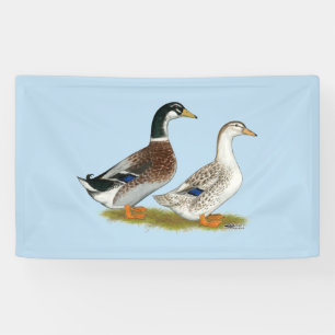 Ducks:  Silver Appleyard Banner