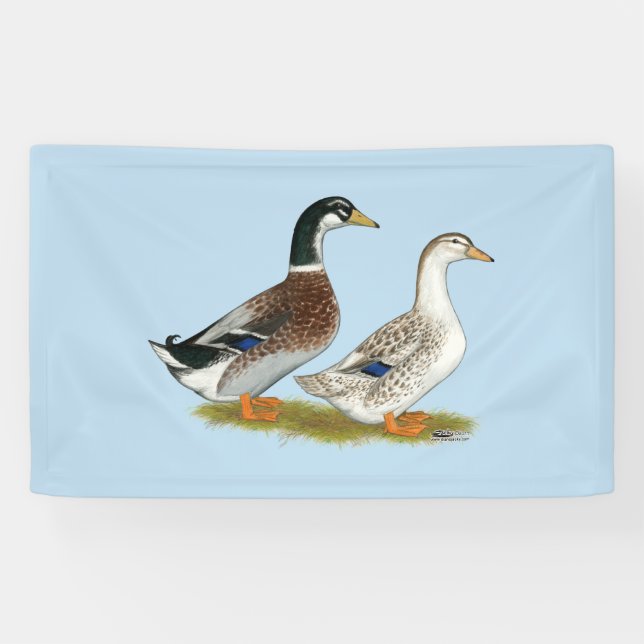 Ducks:  Silver Appleyard Banner (Horizontal)