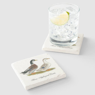 Ducks: Silver Appleyard Stone Coaster