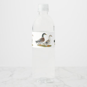 Ducks: Silver Appleyard Water Bottle Label