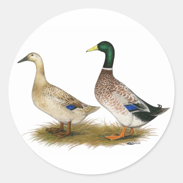 Ducks:  Silver Welsh Harlequin Classic Round Sticker (Front)