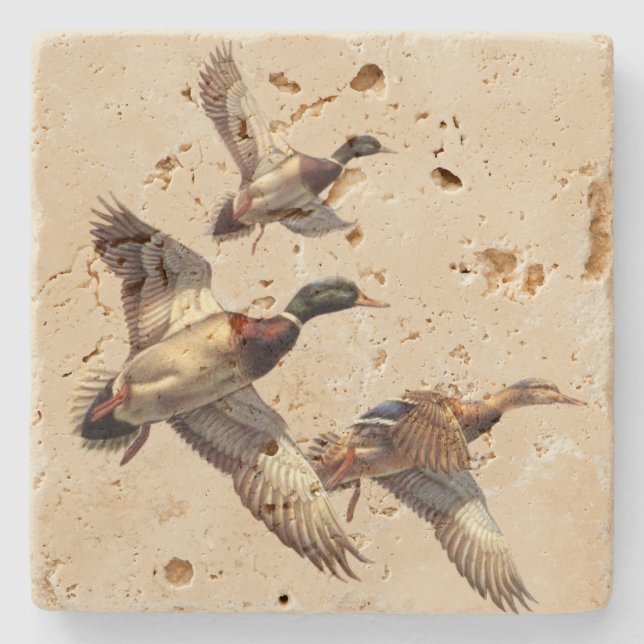 Ducks Stone Coaster (Front)
