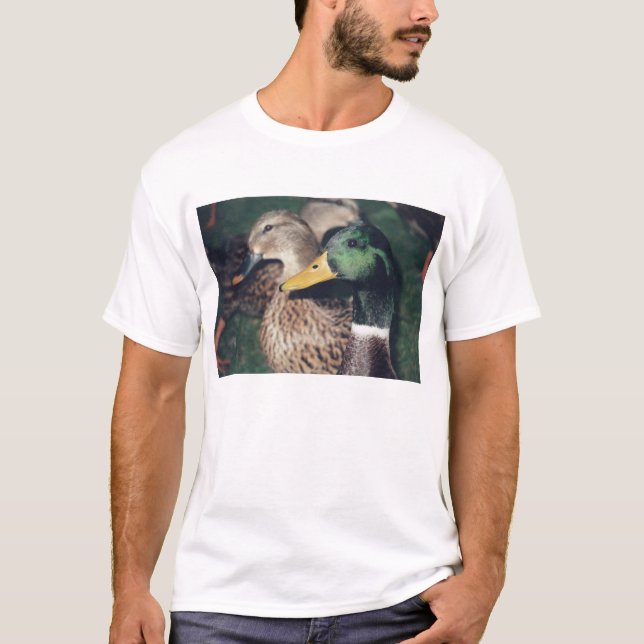 ducks T-Shirt (Front)