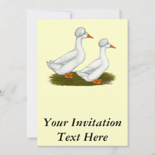 Ducks:  White Crested Invitation